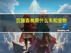 沉睡森林用什么车和宠物