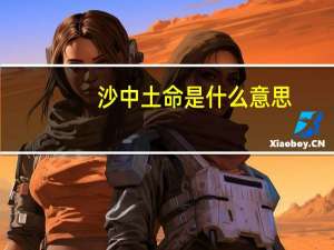 沙中土命是什么意思（土命是什么意思）