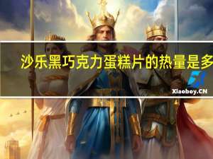 沙乐 黑巧克力蛋糕片的热量是多少