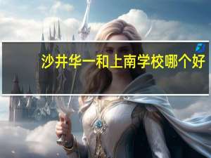 沙井华一和上南学校哪个好