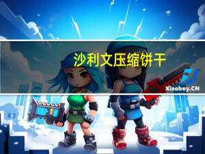 沙利文 压缩饼干(肉蓉)的热量是多少