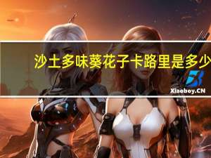 沙土 多味葵花子卡路里是多少