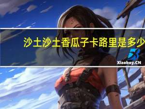 沙土 沙 土香瓜子卡路里是多少