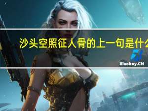 沙头空照征人骨的上一句是什么