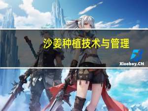 沙姜种植技术与管理