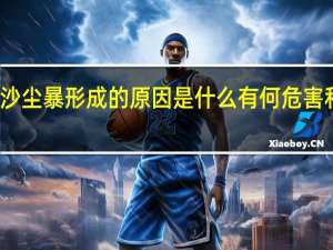 沙尘暴形成的原因是什么 有何危害和预防（沙尘暴形成的原因是什么 有何危害）