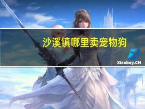 沙溪镇哪里卖宠物狗