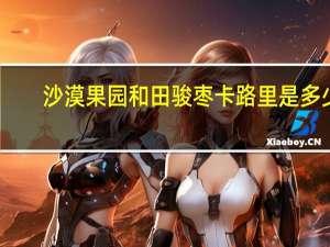 沙漠果园 和田骏枣卡路里是多少