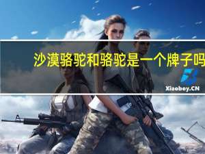 沙漠骆驼和骆驼是一个牌子吗