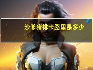 沙爹猪排卡路里是多少