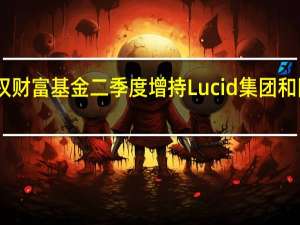 沙特主权财富基金二季度增持Lucid集团和阿里巴巴ADR