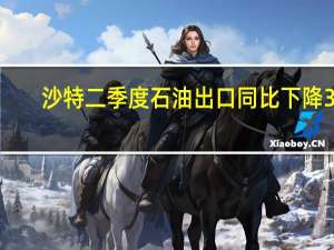 沙特二季度石油出口同比下降33.4%至2277亿沙特里亚尔