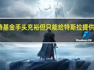 沙特基金手头充裕 但只能给特斯拉提供部分资金