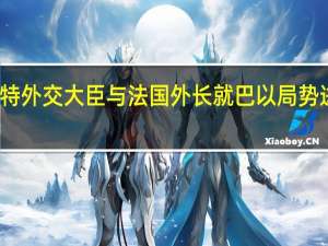 沙特外交大臣与法国外长就巴以局势进行通话
