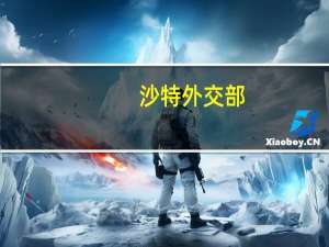 沙特外交部：谴责任何可能威胁巴勒斯坦平民生命的以色列地面行动