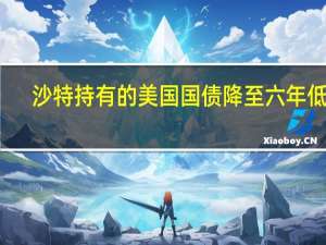 沙特持有的美国国债降至六年低点