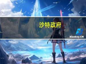 沙特政府：我们支持欧佩克+稳定石油市场的努力