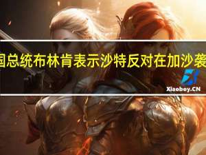 沙特王储会见美国总统布林肯表示沙特反对在加沙袭击平民和破坏基础设施