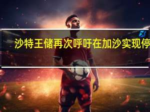 沙特王储再次呼吁在加沙实现停火