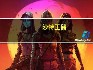 沙特王储：支持巴勒斯坦人民尽全力停止冲突