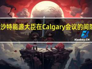 沙特能源大臣在Calgary会议的间隙表示：（OPEC+）将逐月评估产量计划