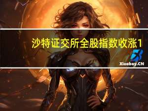 沙特证交所全股指数收涨1.46%连续第三个交易日上涨报10690.09点10月份累计下跌将近3.31%