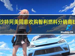 沙特阿美同意收购智利燃料分销商Esmax