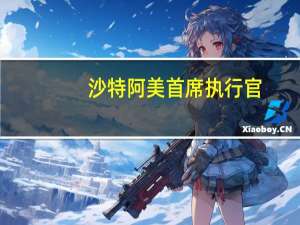 沙特阿美首席执行官：在能源转型中不希望从燃料依赖转向矿产依赖