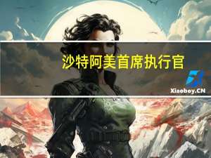 沙特阿美首席执行官：我们正在保持有史以来最大规模的资本支出计划旨在增加我们的石油和天然气产能并扩大我们的下游业务