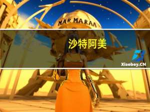 沙特阿美：寻求在越南投资特别是建设石化炼油厂