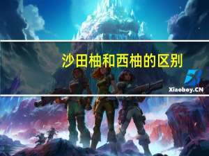 沙田柚和西柚的区别