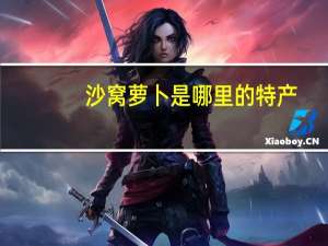 沙窝萝卜是哪里的特产