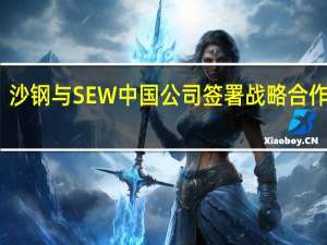 沙钢与SEW中国公司签署战略合作协议