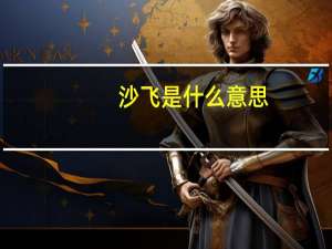 沙飞是什么意思