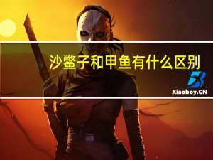沙鳖子和甲鱼有什么区别