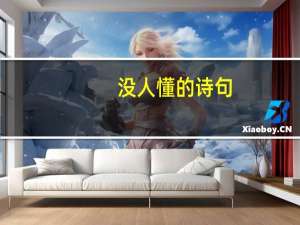 没人懂的诗句