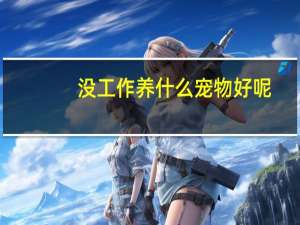 没工作养什么宠物好呢
