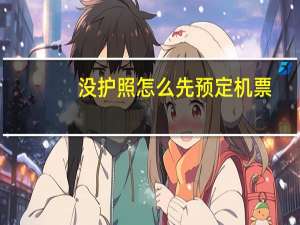 没护照怎么先预定机票