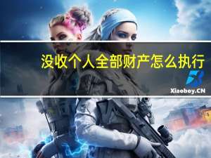 没收个人全部财产怎么执行