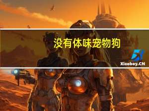 没有体味宠物狗