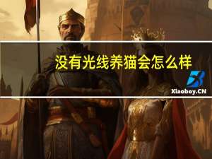 没有光线养猫会怎么样