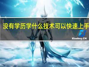 没有学历学什么技术可以快速上手就业