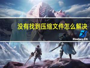 没有找到压缩文件 怎么解决（没有找到d3d11.dll）
