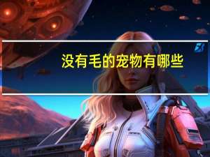 没有毛的宠物有哪些