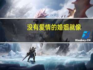 没有爱情的婚姻就像
