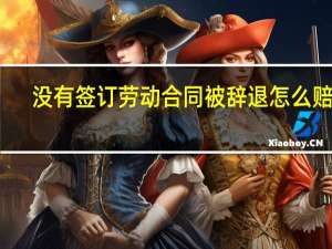 没有签订劳动合同被辞退怎么赔偿