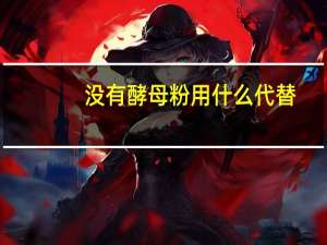 没有酵母粉用什么代替