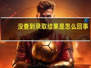 没查到录取结果是怎么回事