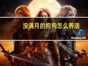 没满月的狗狗怎么养活