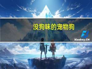没狗味的宠物狗